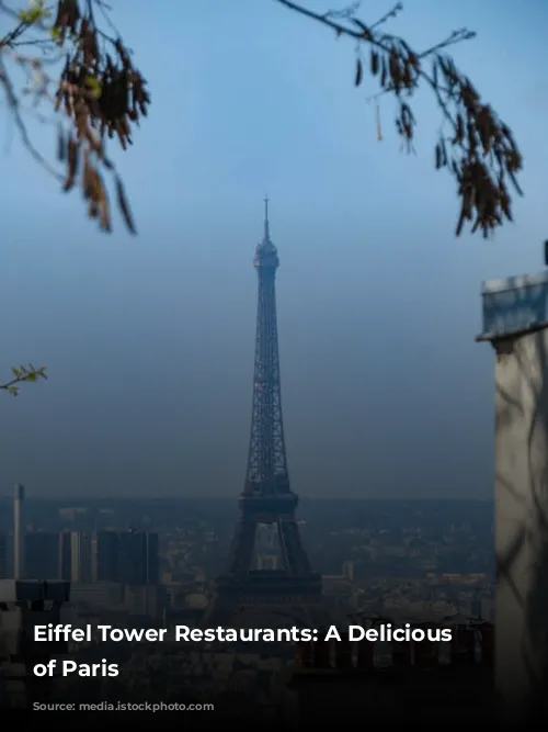 Eiffel Tower Restaurants: A Delicious View of Paris