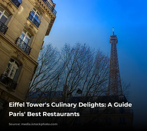 Eiffel Tower's Culinary Delights: A Guide to Paris' Best Restaurants