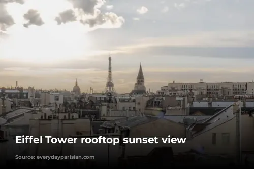 Eiffel Tower rooftop sunset view 