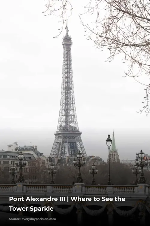 Pont Alexandre III | Where to See the Eiffel Tower Sparkle 