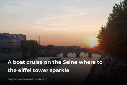 A boat cruise on the Seine
where to see the eiffel tower sparkle 