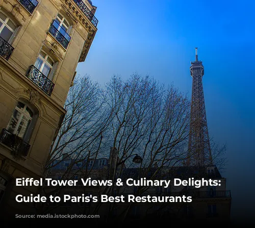 Eiffel Tower Views & Culinary Delights: A Guide to Paris's Best Restaurants