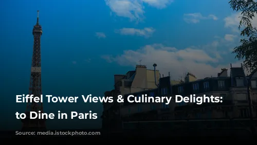 Eiffel Tower Views & Culinary Delights: Where to Dine in Paris