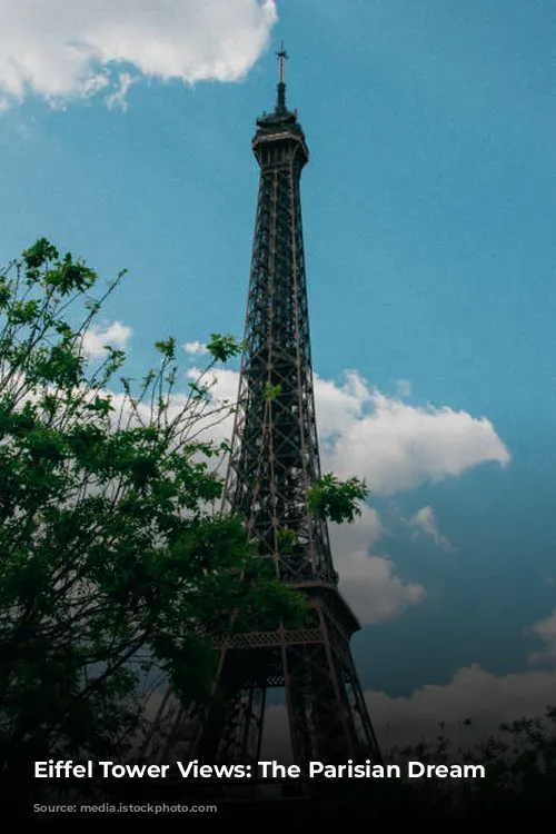 Eiffel Tower Views: The Parisian Dream 🗼