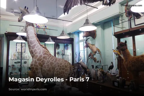 Magasin Deyrolles - Paris 7