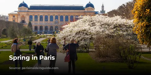 Spring in Paris