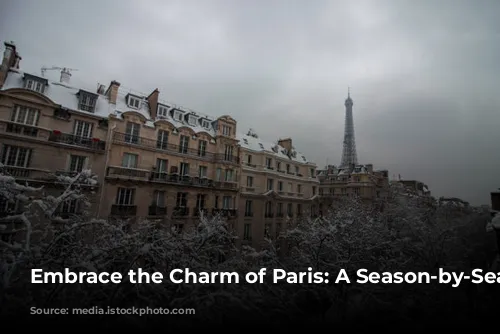 Embrace the Charm of Paris: A Season-by-Season Guide