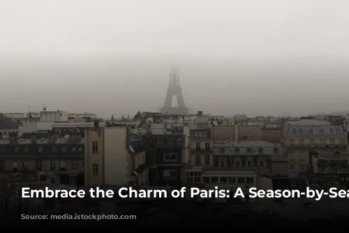 Embrace the Charm of Paris: A Season-by-Season Guide