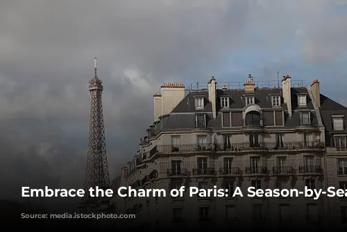 Embrace the Charm of Paris: A Season-by-Season Guide