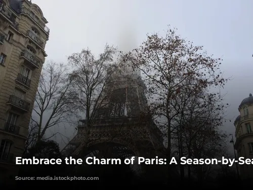 Embrace the Charm of Paris: A Season-by-Season Guide