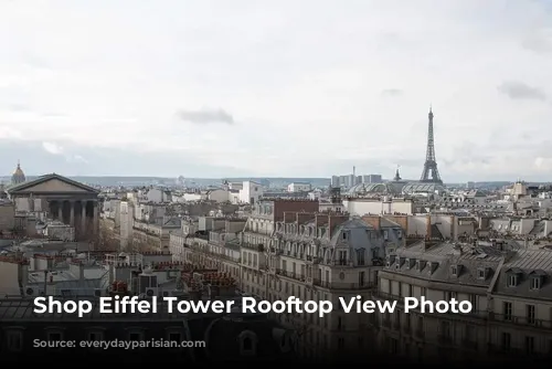 Shop Eiffel Tower Rooftop View Photo Here