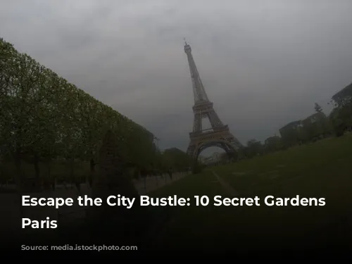 Escape the City Bustle: 10 Secret Gardens in Paris