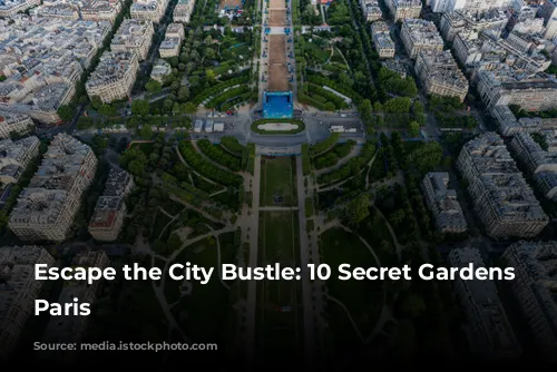 Escape the City Bustle: 10 Secret Gardens in Paris