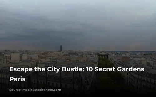 Escape the City Bustle: 10 Secret Gardens in Paris