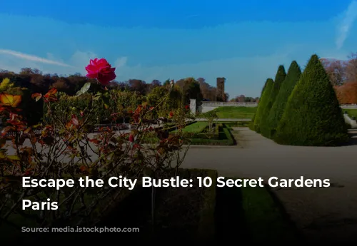 Escape the City Bustle: 10 Secret Gardens in Paris