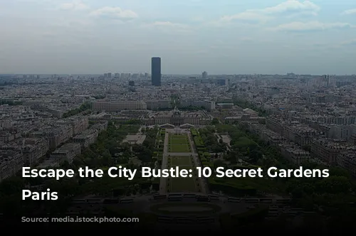 Escape the City Bustle: 10 Secret Gardens in Paris