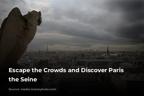 Escape the Crowds and Discover Paris from the Seine