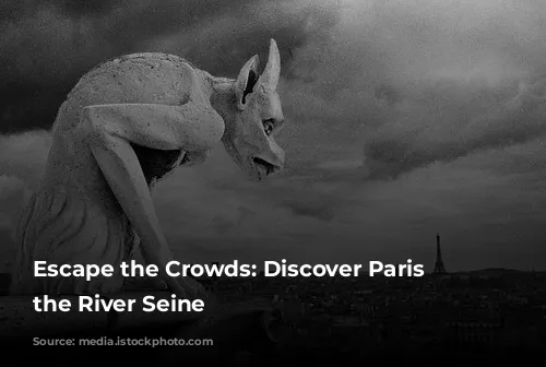 Escape the Crowds:  Discover Paris from the River Seine