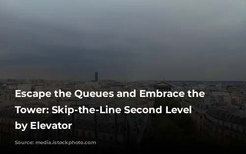 Escape the Queues and Embrace the Eiffel Tower: Skip-the-Line Second Level Access by Elevator