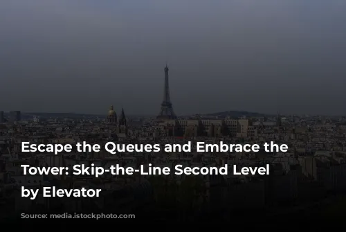 Escape the Queues and Embrace the Eiffel Tower: Skip-the-Line Second Level Access by Elevator