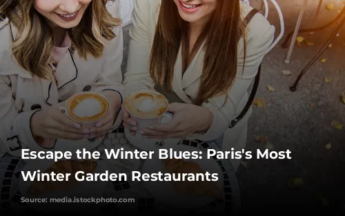 Escape the Winter Blues: Paris's Most Charming Winter Garden Restaurants