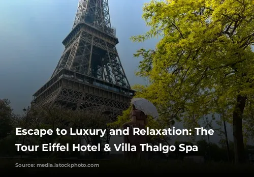 Escape to Luxury and Relaxation: The Plaza Tour Eiffel Hotel & Villa Thalgo Spa