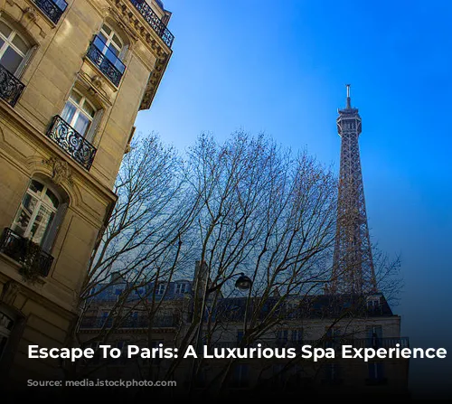 Escape To Paris: A Luxurious Spa Experience Awaits