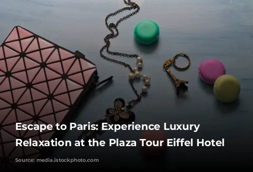 Escape to Paris: Experience Luxury and Relaxation at the Plaza Tour Eiffel Hotel