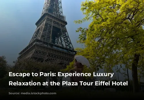 Escape to Paris: Experience Luxury and Relaxation at the Plaza Tour Eiffel Hotel