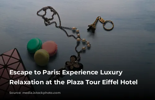 Escape to Paris: Experience Luxury and Relaxation at the Plaza Tour Eiffel Hotel