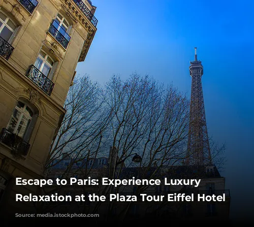 Escape to Paris: Experience Luxury and Relaxation at the Plaza Tour Eiffel Hotel