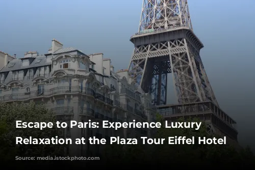 Escape to Paris: Experience Luxury and Relaxation at the Plaza Tour Eiffel Hotel