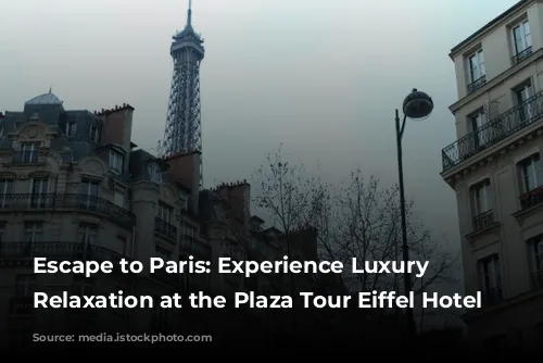 Escape to Paris: Experience Luxury and Relaxation at the Plaza Tour Eiffel Hotel