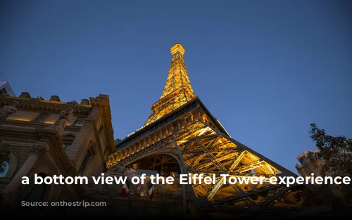 a bottom view of the Eiffel Tower experience