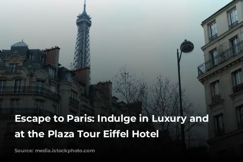 Escape to Paris: Indulge in Luxury and Relaxation at the Plaza Tour Eiffel Hotel