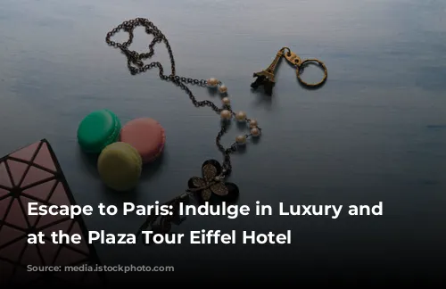 Escape to Paris: Indulge in Luxury and Relaxation at the Plaza Tour Eiffel Hotel