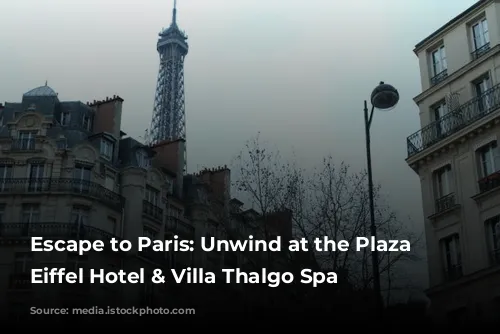 Escape to Paris: Unwind at the Plaza Tour Eiffel Hotel & Villa Thalgo Spa