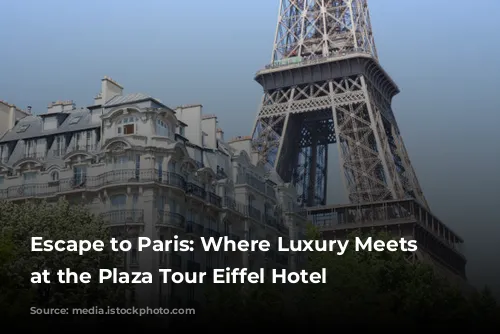 Escape to Paris: Where Luxury Meets Relaxation at the Plaza Tour Eiffel Hotel