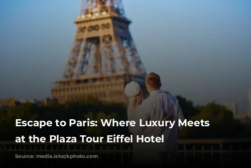 Escape to Paris: Where Luxury Meets Relaxation at the Plaza Tour Eiffel Hotel