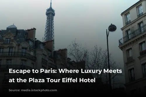 Escape to Paris: Where Luxury Meets Relaxation at the Plaza Tour Eiffel Hotel