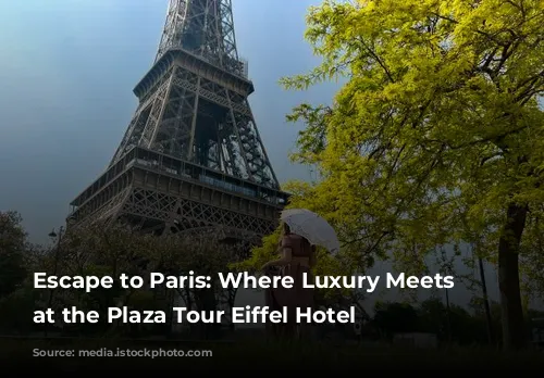 Escape to Paris: Where Luxury Meets Relaxation at the Plaza Tour Eiffel Hotel