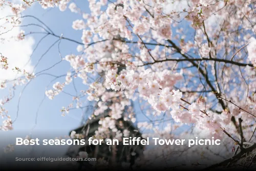 Best seasons for an Eiffel Tower picnic