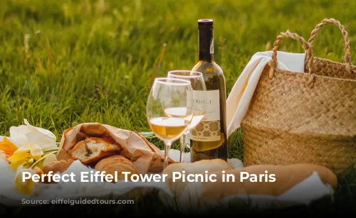 Perfect Eiffel Tower Picnic in Paris