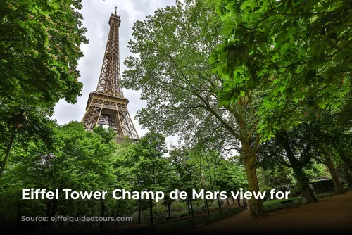 Eiffel Tower Champ de Mars view for picnic