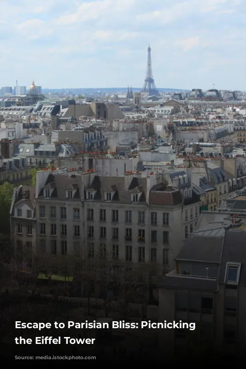 Escape to Parisian Bliss: Picnicking at the Eiffel Tower