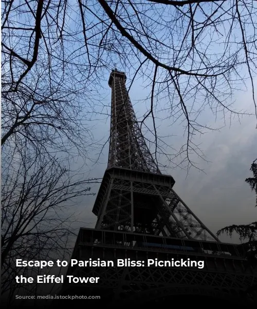 Escape to Parisian Bliss: Picnicking at the Eiffel Tower