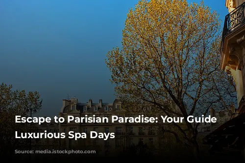 Escape to Parisian Paradise: Your Guide to Luxurious Spa Days