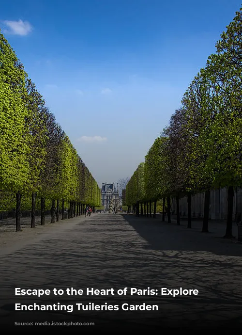 Escape to the Heart of Paris: Explore the Enchanting Tuileries Garden