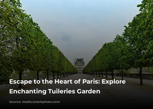 Escape to the Heart of Paris: Explore the Enchanting Tuileries Garden