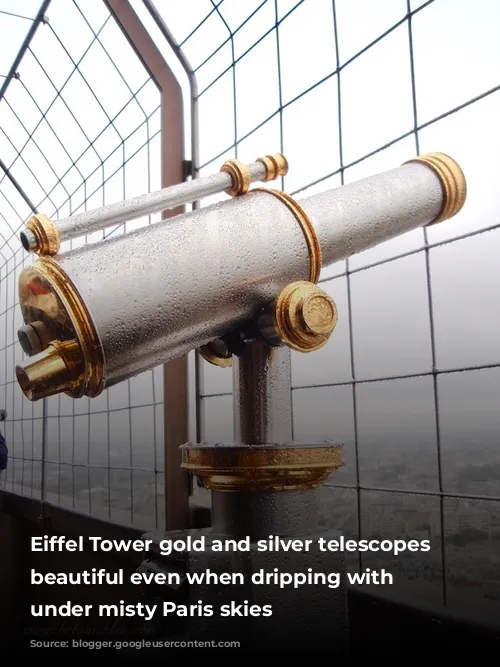 Eiffel Tower gold and silver telescopes are beautiful even when dripping with rain under misty Paris skies